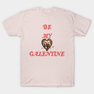 Galentines day lovebirds cuddling T-Shirt